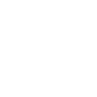 Logo software